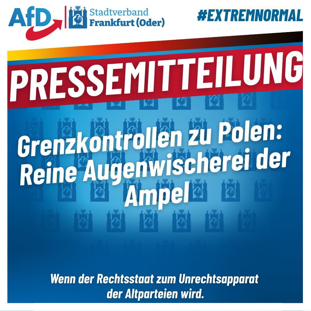 Bild zu Grenzkontrollen zu Polen: Reine Augenwischerei der Ampel